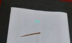 Lakme Lipsticks - Set of 3