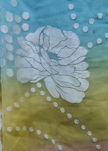 Pastel Multi Color Saree