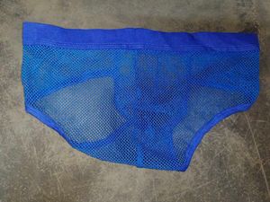 Men&#39;s Blue Mesh Large Fishnet Briefs.