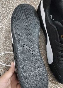 PUMA speedcat Brand NEW