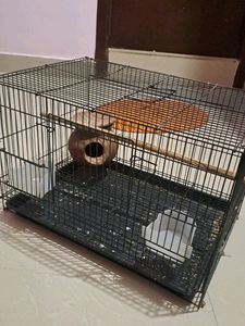 Birds Cage With Birds Food