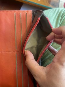 Baggit Purse