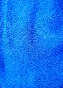 Blue Saree With Parrot Borders🥻