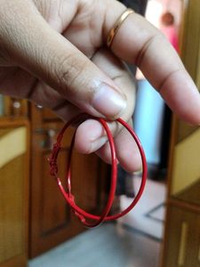 Pair Of Loop Earrings