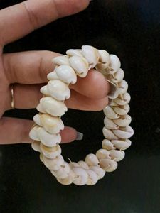 Set Of Three Original Shell Bracelet
