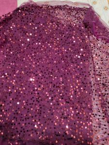 Beautiful Net Saree