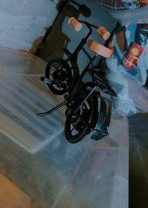 Metal Showpiece Cycle
