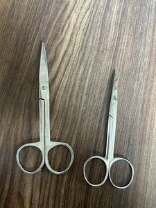 Small Stainless Steel Scissors (2)