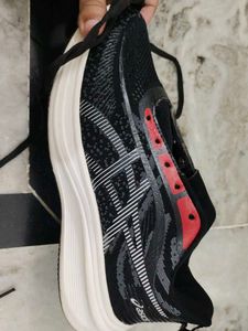 Asics Sports Shoe