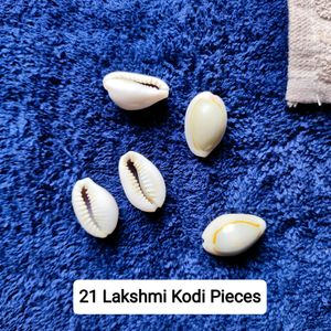 Lakshmi Pujan Kodi Shells 21 Pcs