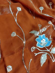 Beautiful Design Light Rust Color Saree