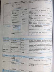 GodFather Topper&#39;s Handbook Science