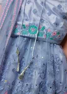 Party Wear Lehenga Choli