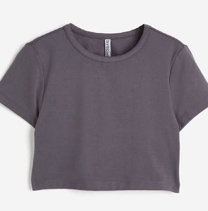H&amp;M Grey Cropped T-Shirt