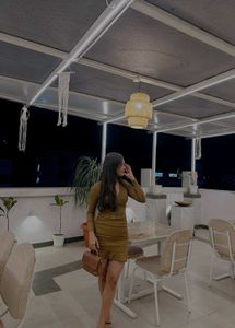 Bodycon Brown Dress