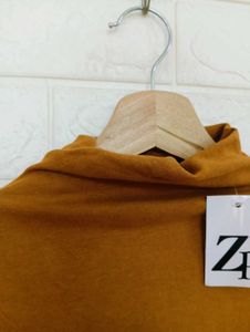 Zara Brown Turtleneck Top