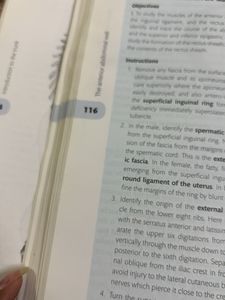 Thorax and Abdomen - 16th Edition