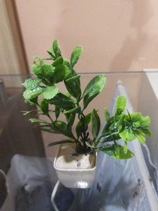 Set Of 10 Mini Artificial Plants.