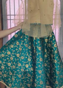 Designer New Style Lehenga Choli For Girls