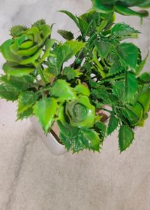 Artificial Small  Show Flower Pot Combo