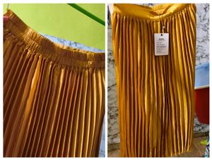 Brand New Sasafras Golden Skirt