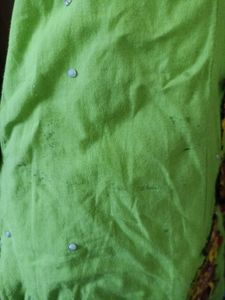 Green Colour Frock Suit Dress/Gown In Ethnic