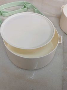 Cute Two-Tier Tiffin