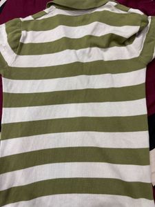 Striped White Nd Green Polo Tshirt