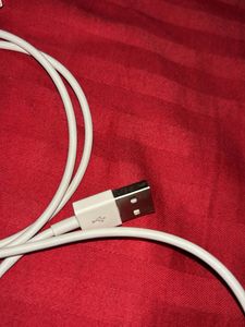 Apple Lightning to USB Cable