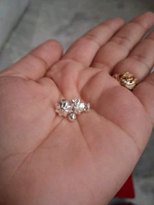 Silver Earrings