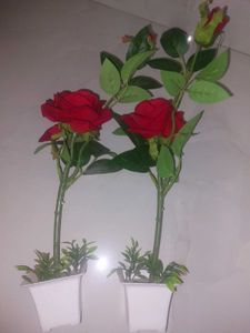 2 Piece- Artificial ROSE 🌹 PLANTS