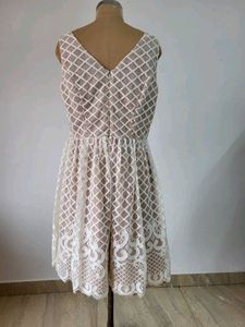 Lace Overlay Fit &amp; Flare Dress