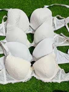 38 Cd Padded