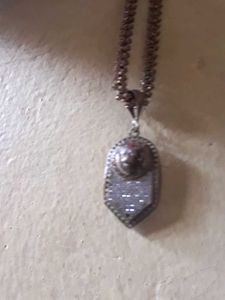 Chain And Tiger Locket