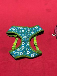 Dog Harness with Leash