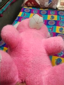 Pink Teddy Bear - Soft and Cuddly  big size coine❌