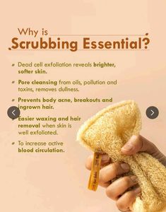 Natural Loofah Sponges (1 Pack)