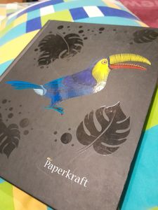 2 Diary Combo