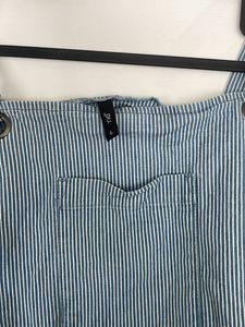 Vertical Blue Stripped Dress