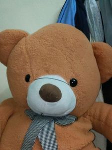 Large Stuffed Teddy Bear