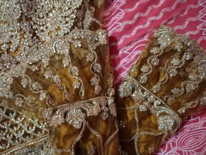 Lehenga And knee length tail Cut top
