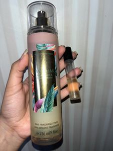 Bbw Bahamas Passionfruit Sample