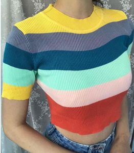 Crop Top For Women