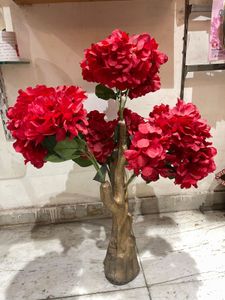 Red Plant