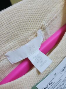 H&amp;M Chic Winter Dress