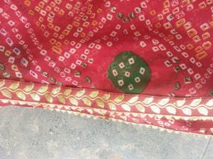 Bandni Sari With Gora Patti Les