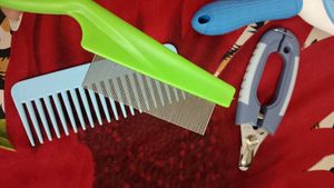 Set Of Hair accessories