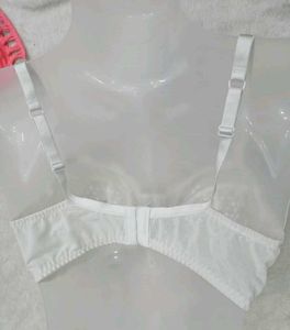 36 D Bra Look