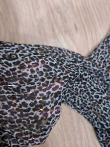 Animal Print Dress