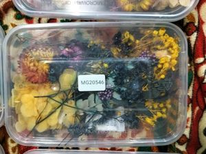 Dried Flower